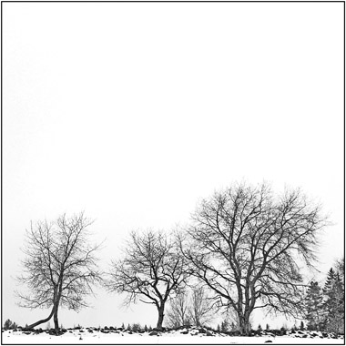 © Johannes Ericsson