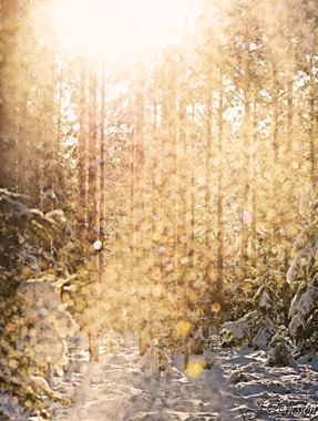 © Johannes Ericsson